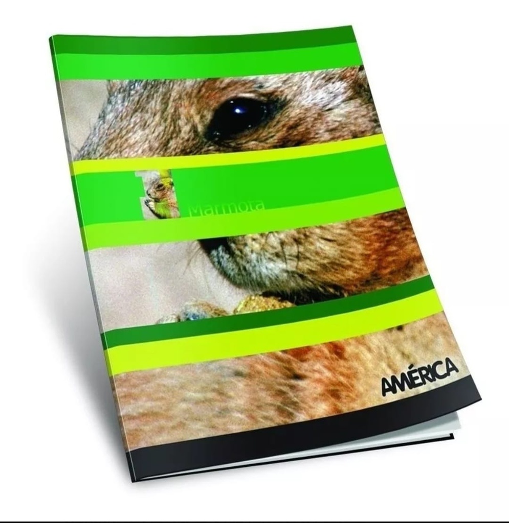 🔴Cuaderno America Tapa Blanda x24