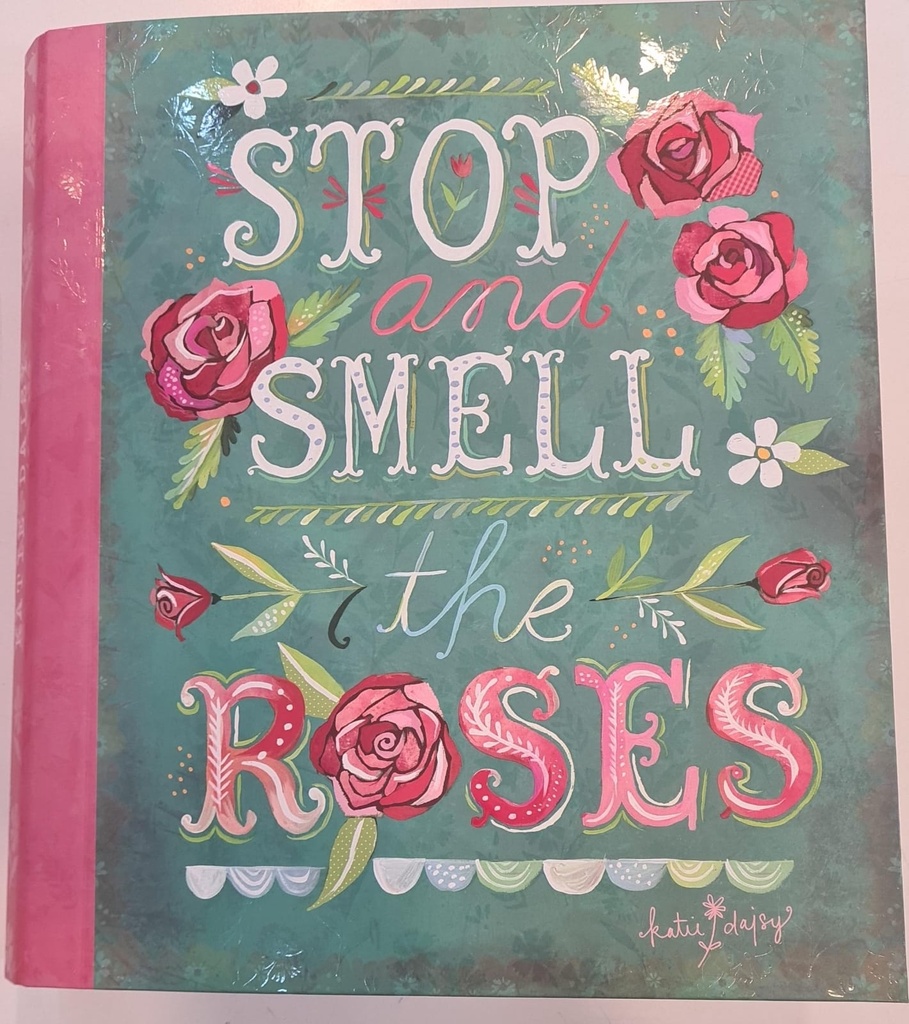 Carpeta a4 Escolar 2 Ganchos (1)